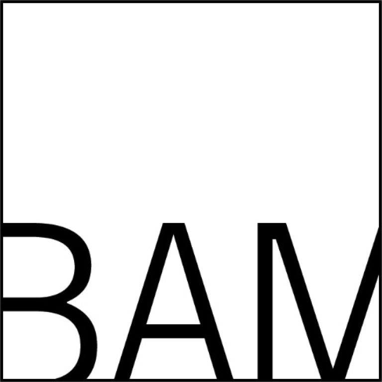 BAM Logo