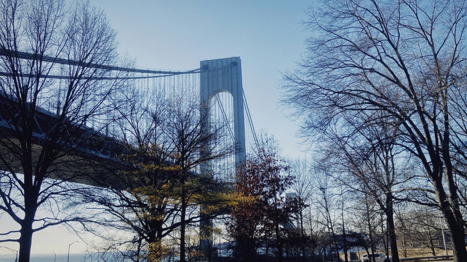 bayridge