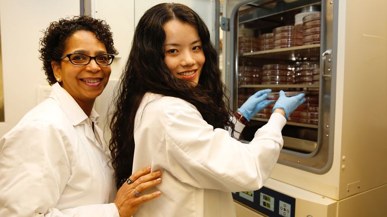students working in Belfer lab 