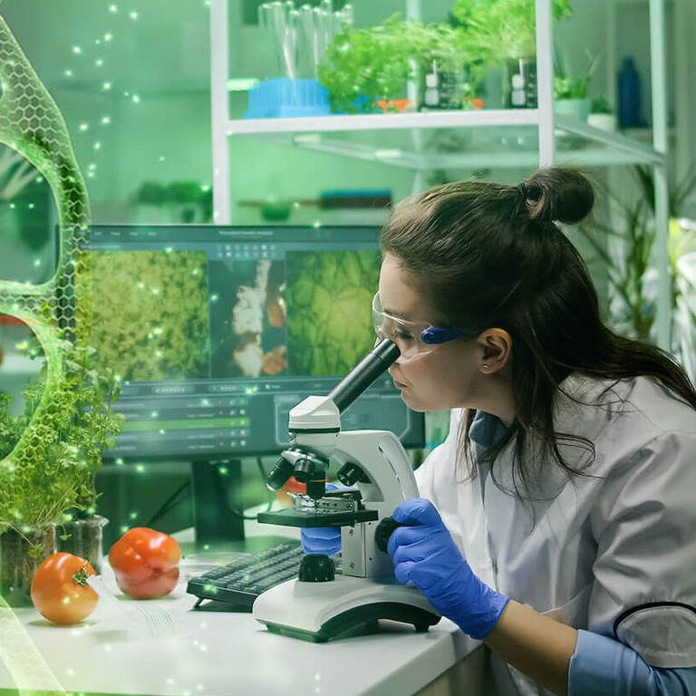 MA in Biology with Specialization in Biotechnology