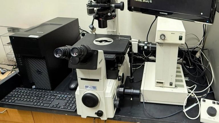 Bio-Imaging Facility.