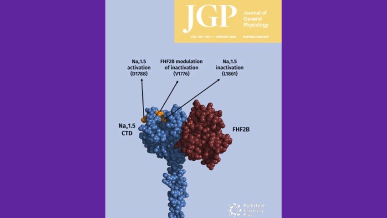 Journal of General Physiology cover image