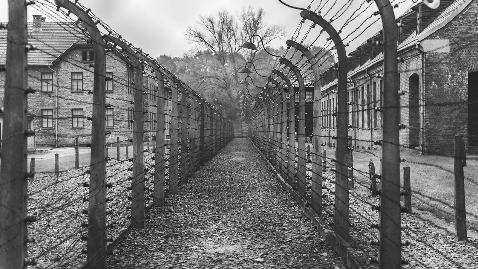 stock image of a concentration camp.