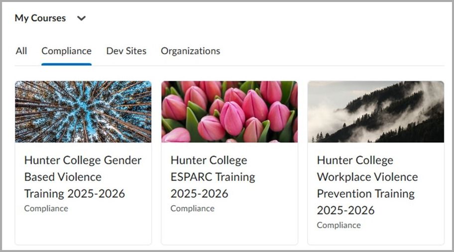 CUNY Brightspace compliance training courses