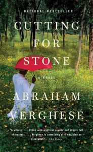 Cover image for Cutting for Stone
