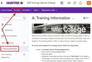 Accessing EHS content in Brightspace.