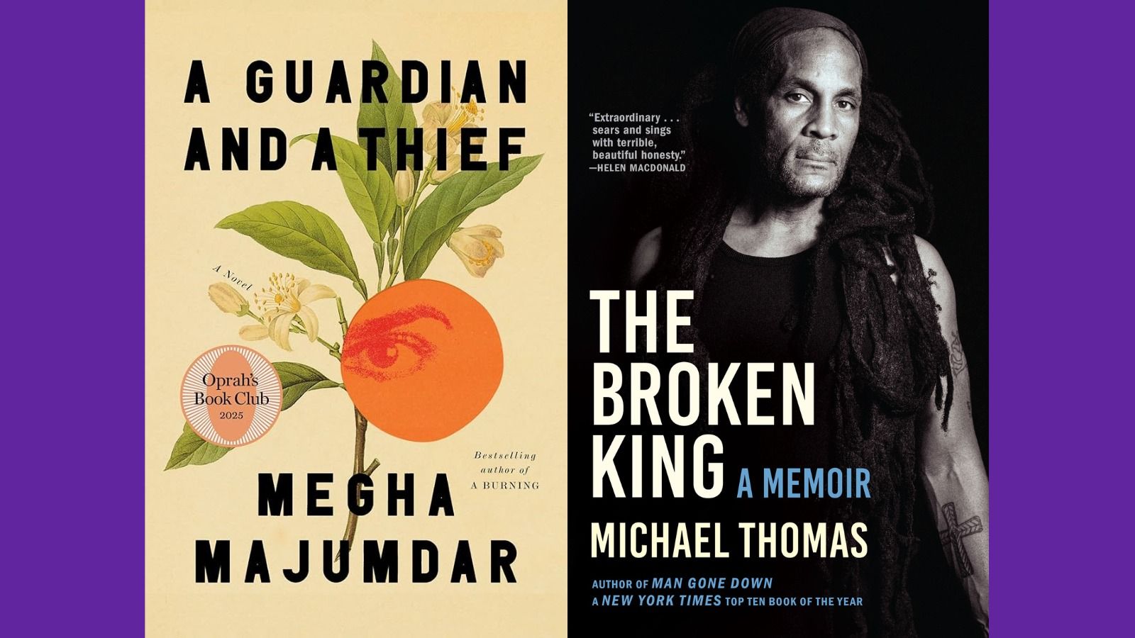 Covers of A Guardian and a Thief and The Broken King.