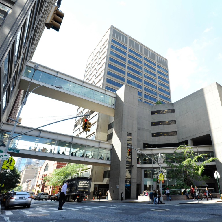 Exterior image of Hunter College 68th Street campus