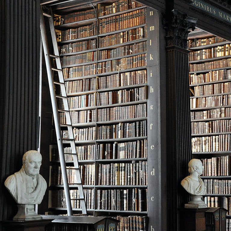 tall library shelves