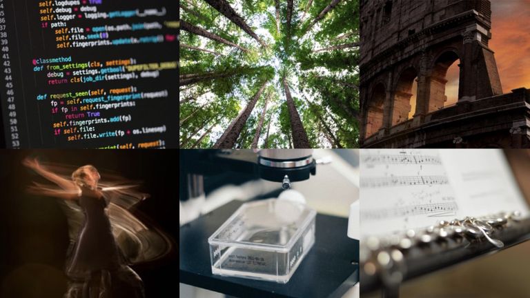 Collage of disciplines 