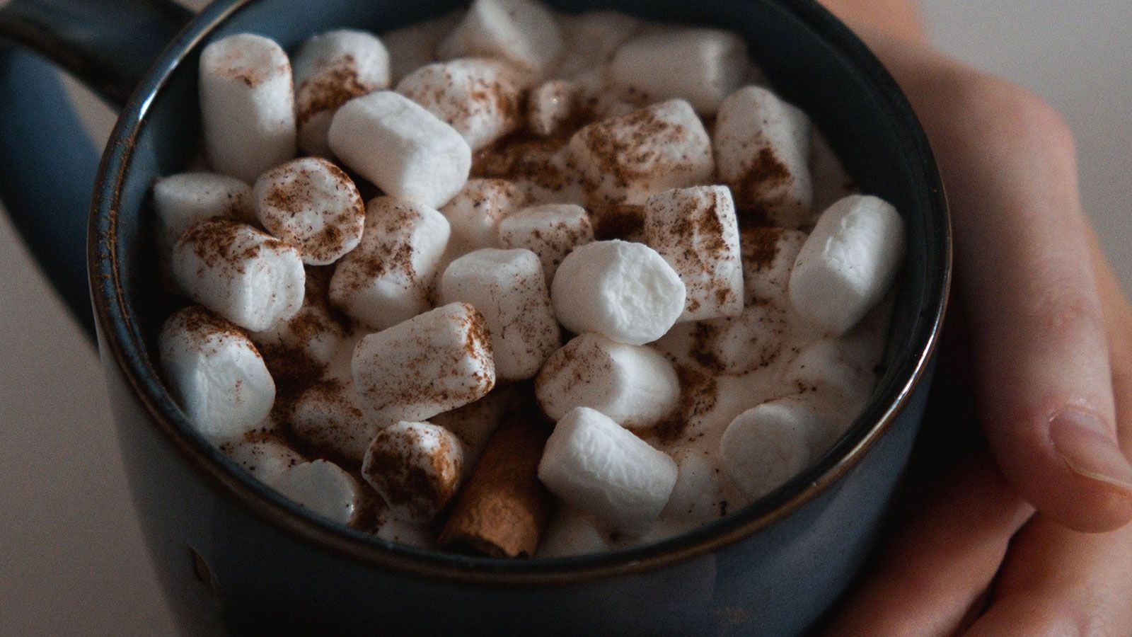 hot chocolate with marshmallows and cocoa powder