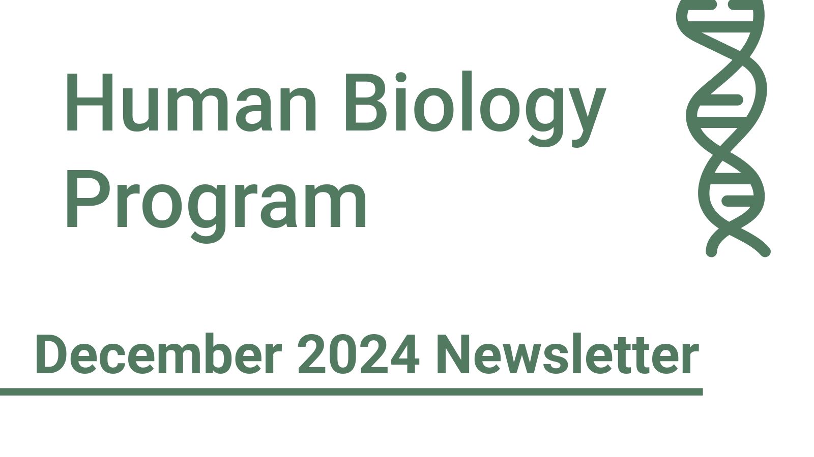 december 2024 newsletter