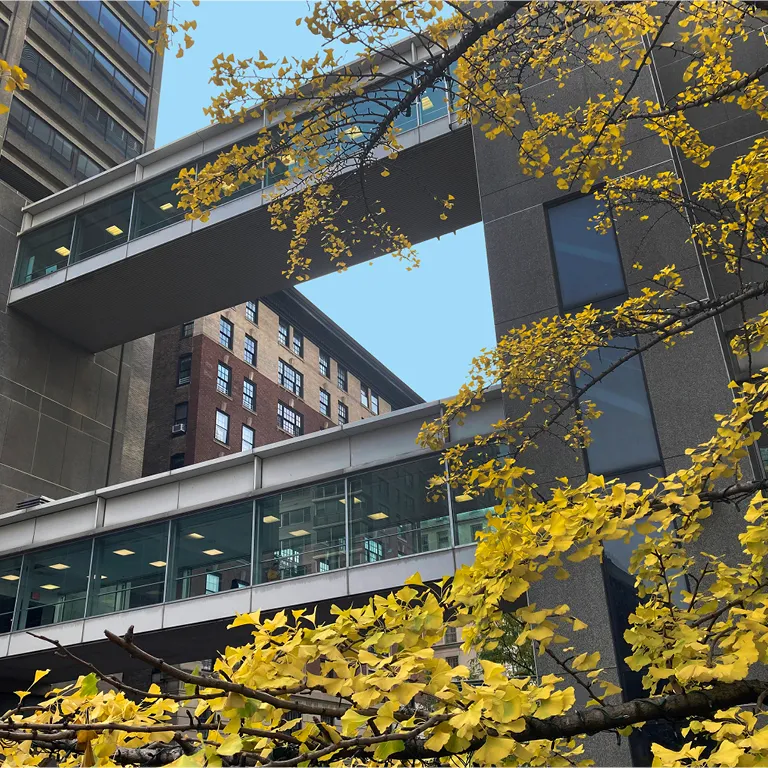 Hunter College West Crossover Bridge