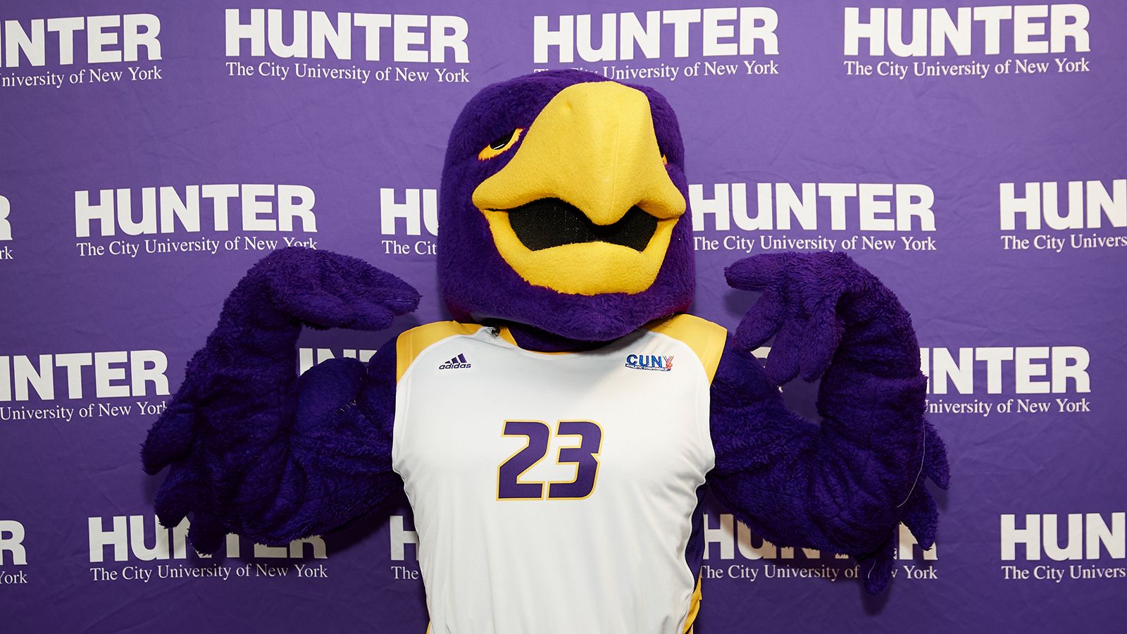 Hunter College Hawk