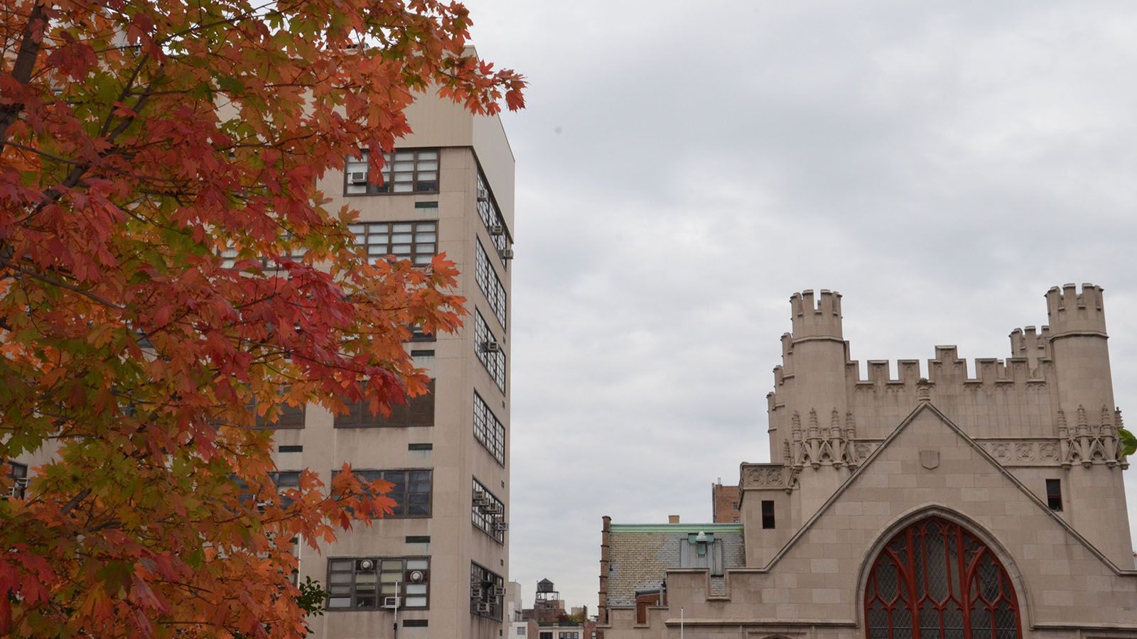 hunter in the fall