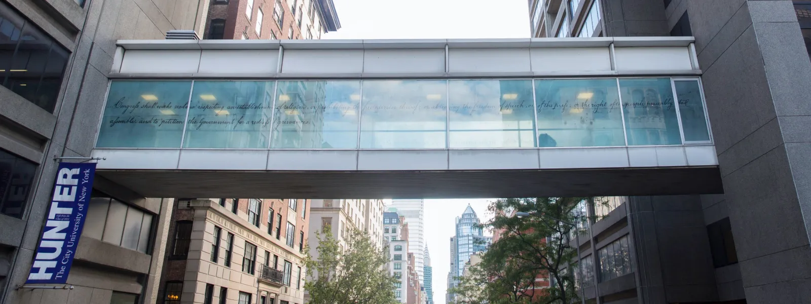 Hunter College bridge.