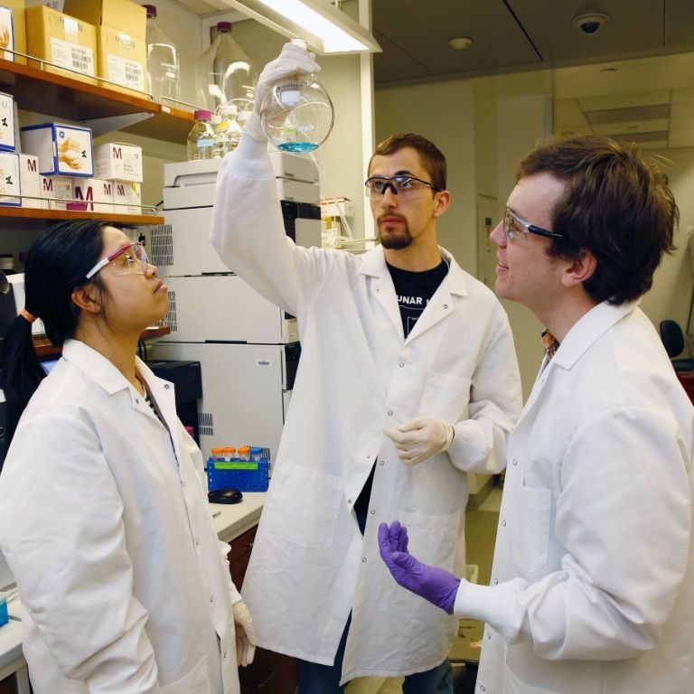 Research students conducting experiments.