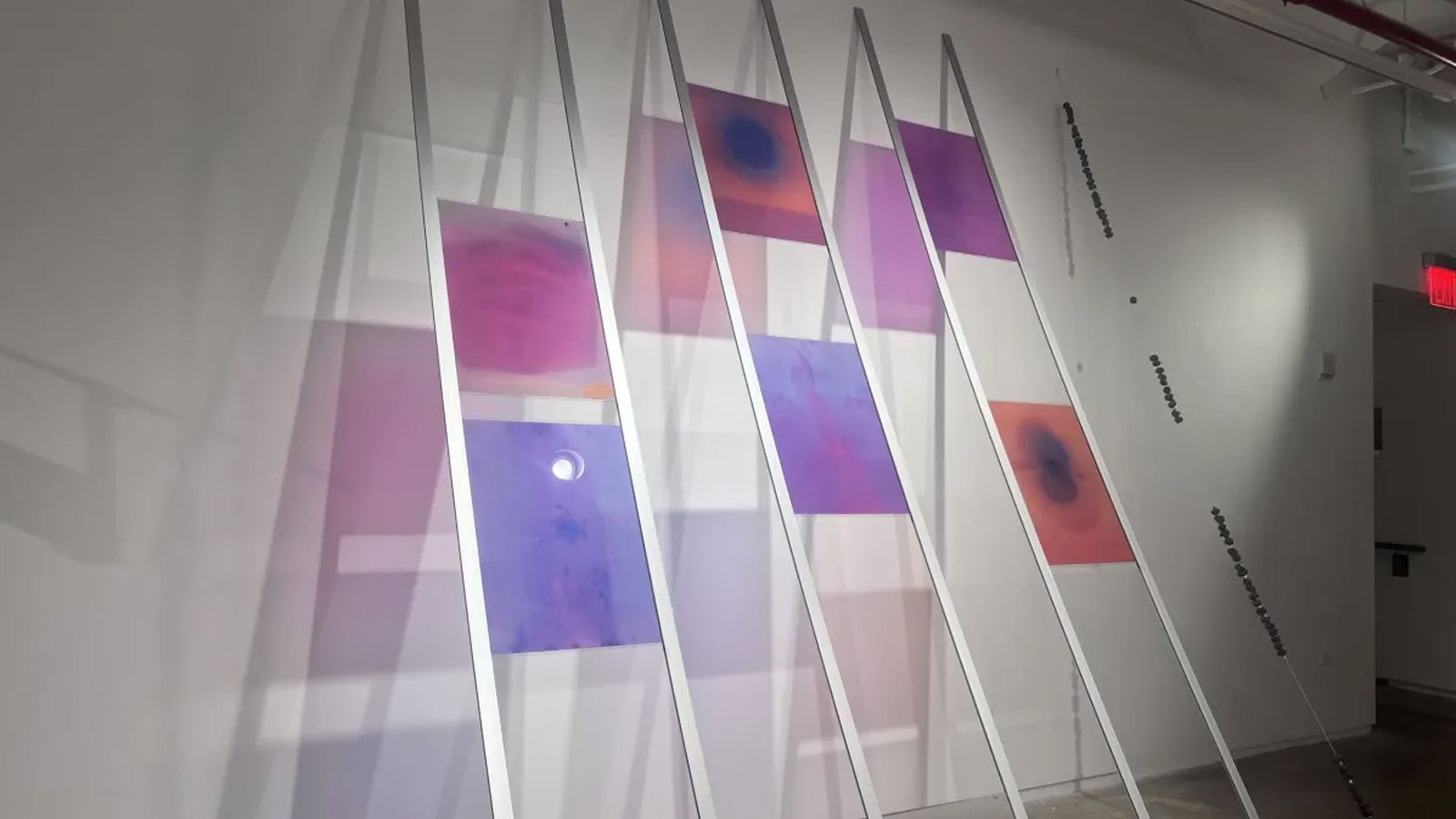 Installation view of works by Natalie Rose Eddings