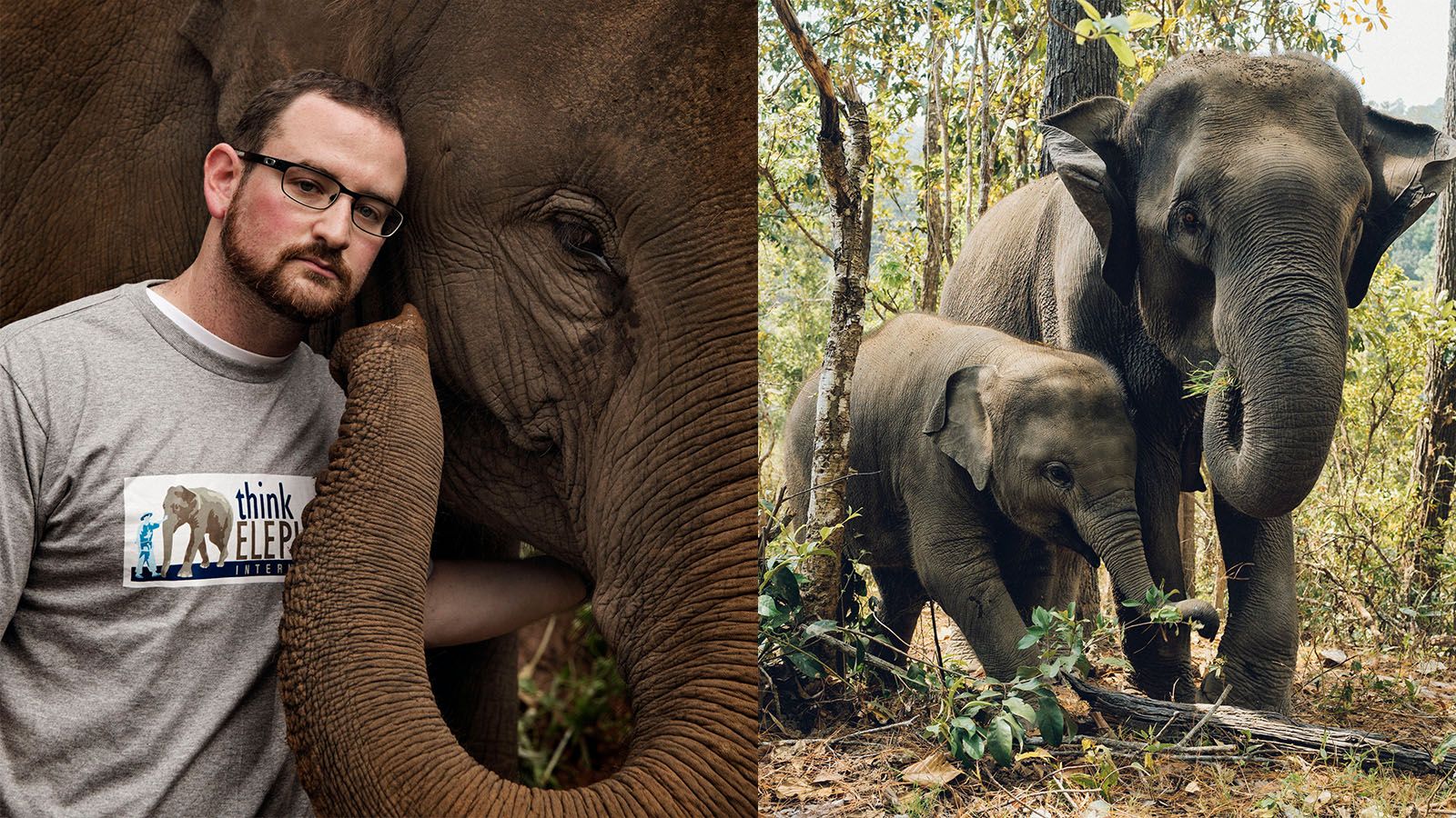 Josh Plotnik and elephants