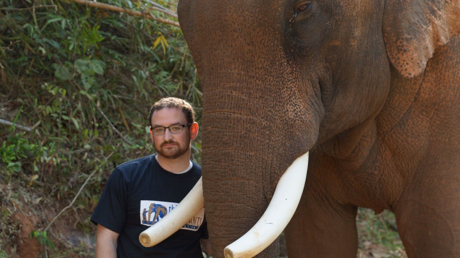 Joshua Plotnik with an elephant