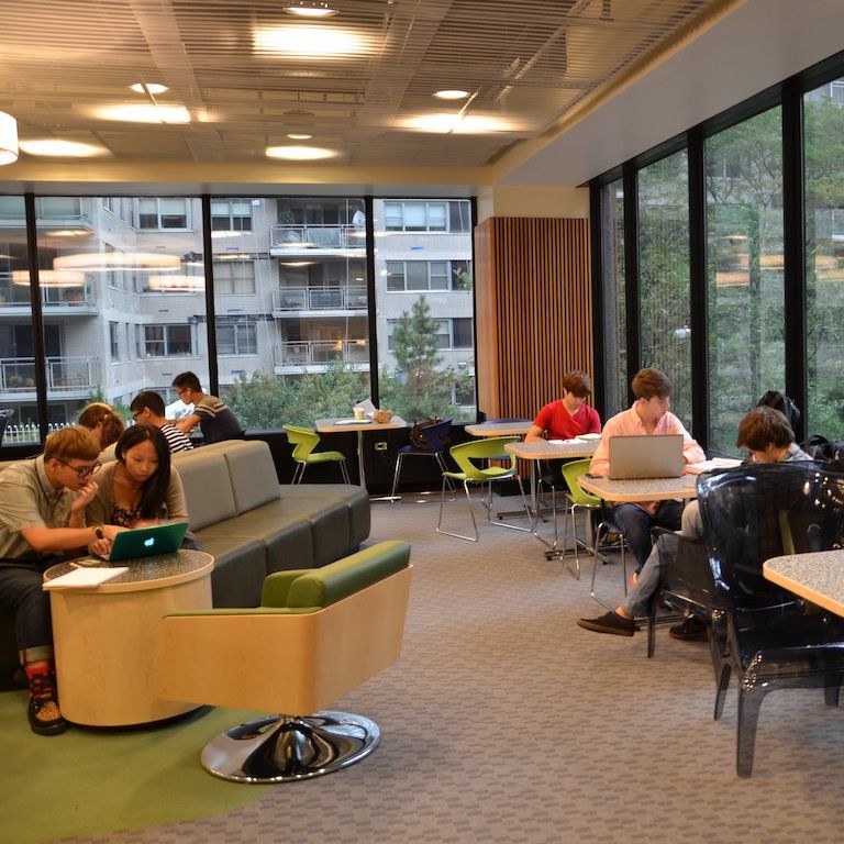 Student working at laptop in health professions library