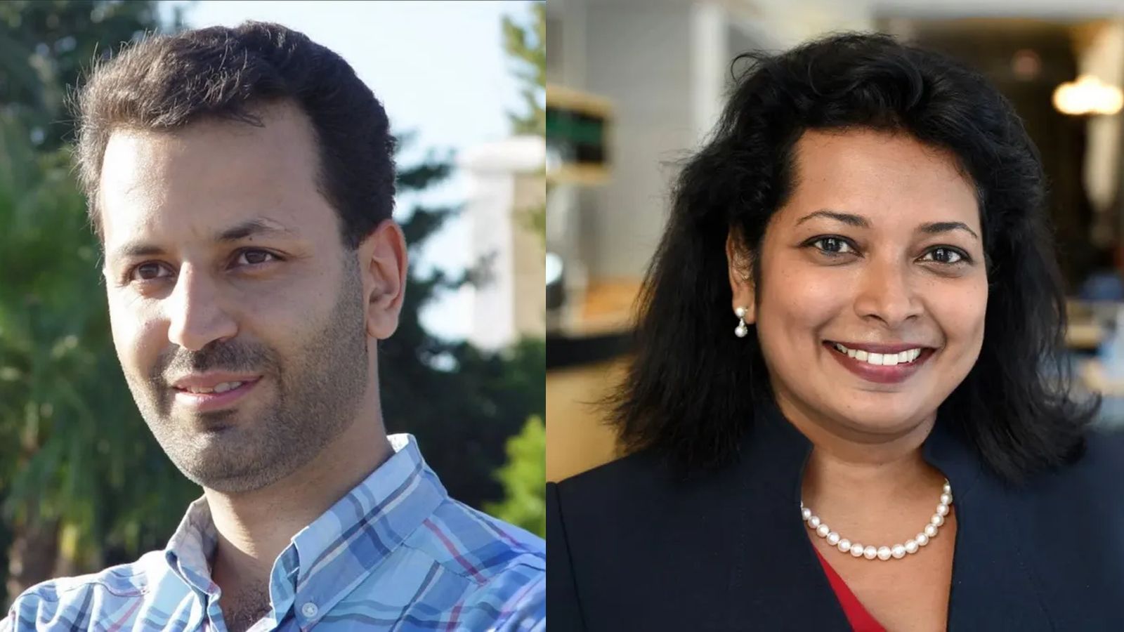 Mohammad Hossein Manshaei and Anita Raja