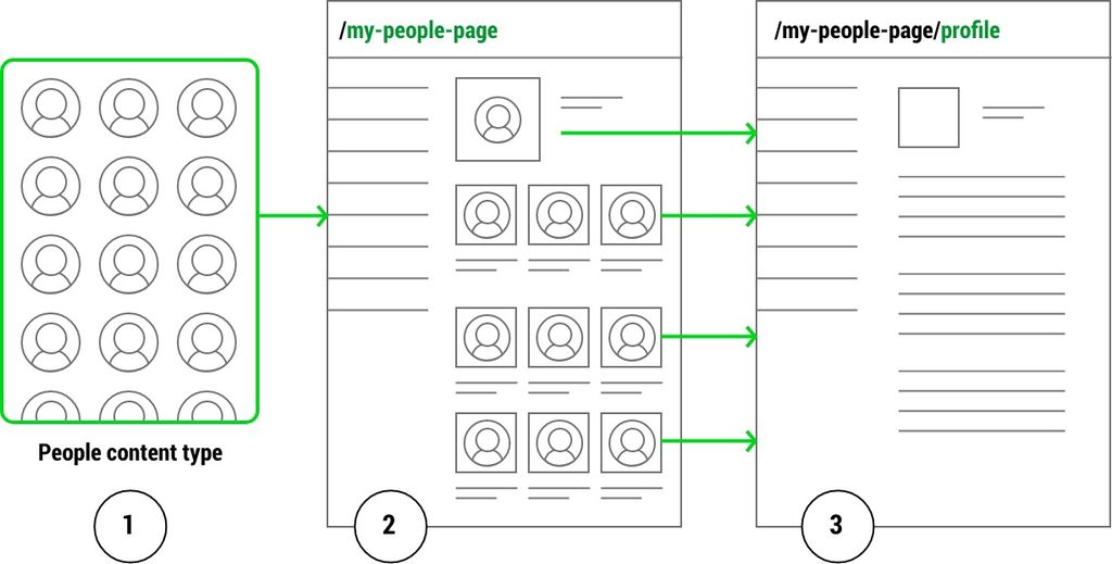 diagram showing how the dynamic profile page populates with the correct people content