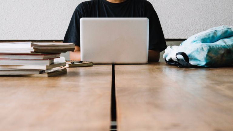 person studying on laptop.