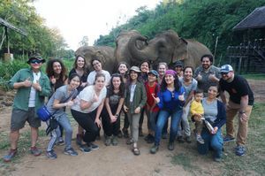 plotnik team elephants