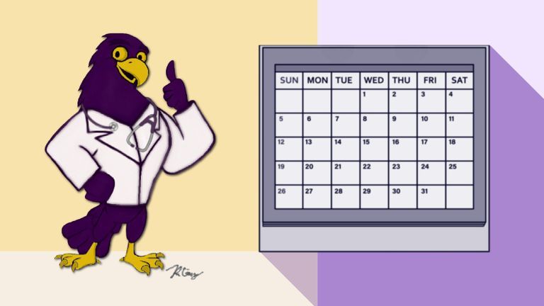 The Purple Hawk with a Planner
