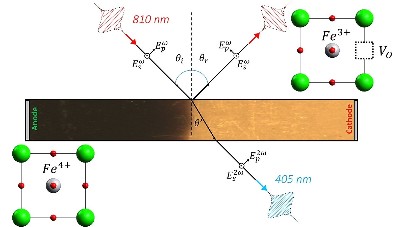 Probing electrocolored Fe-doped SrTiO3 bulks