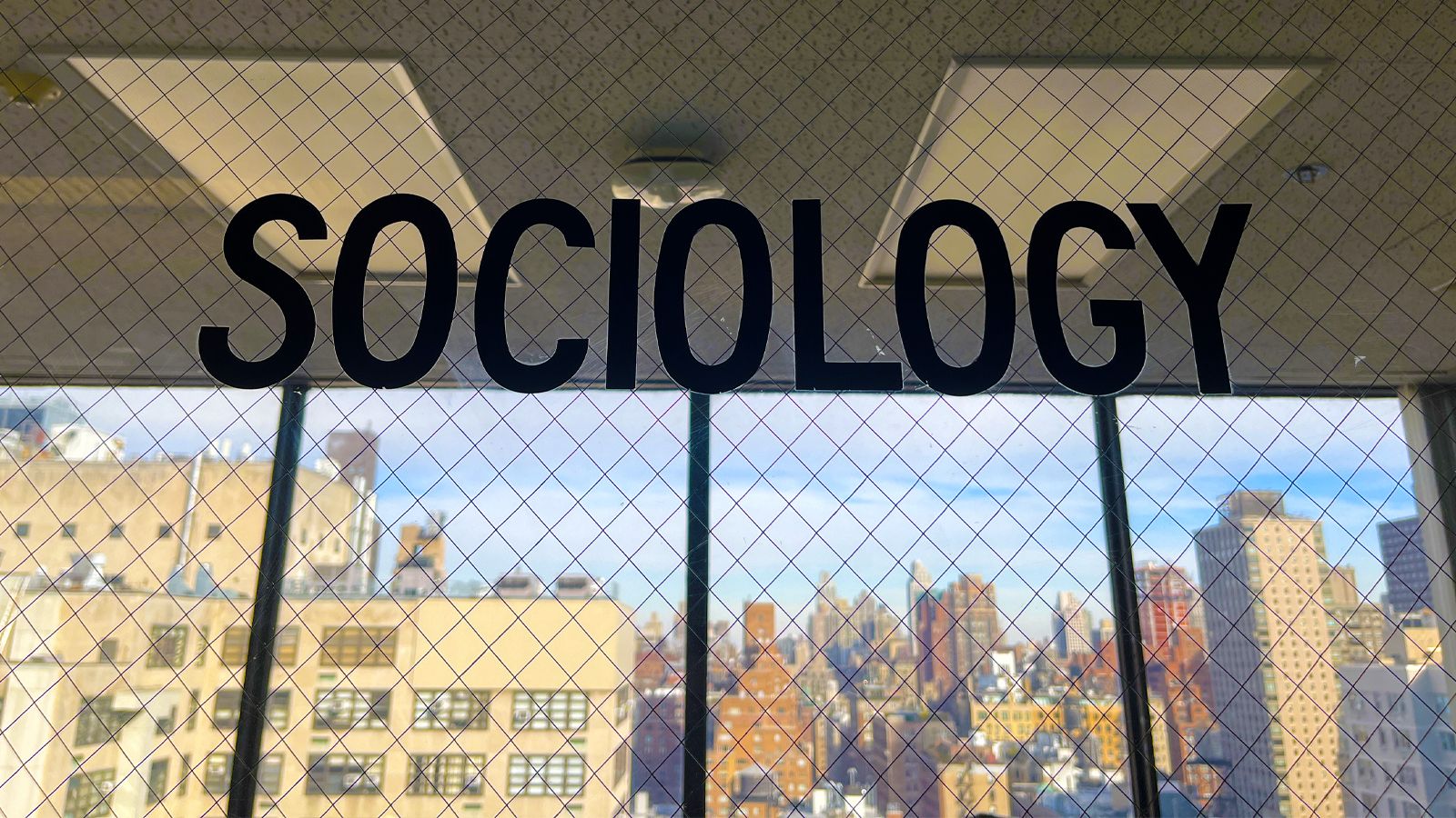 Sociology office