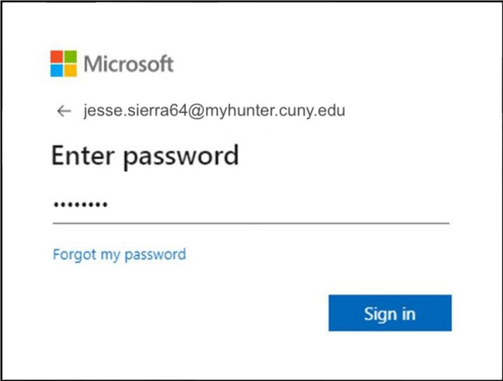 Microsoft login enter password screenshot