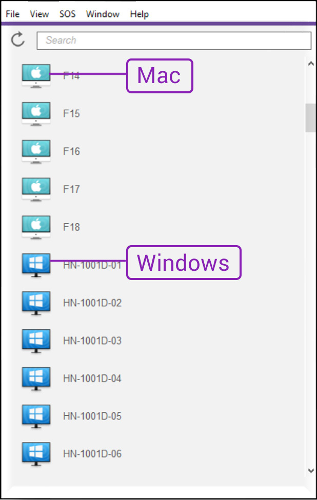 virtual access window screenshot showing mac and windows icons