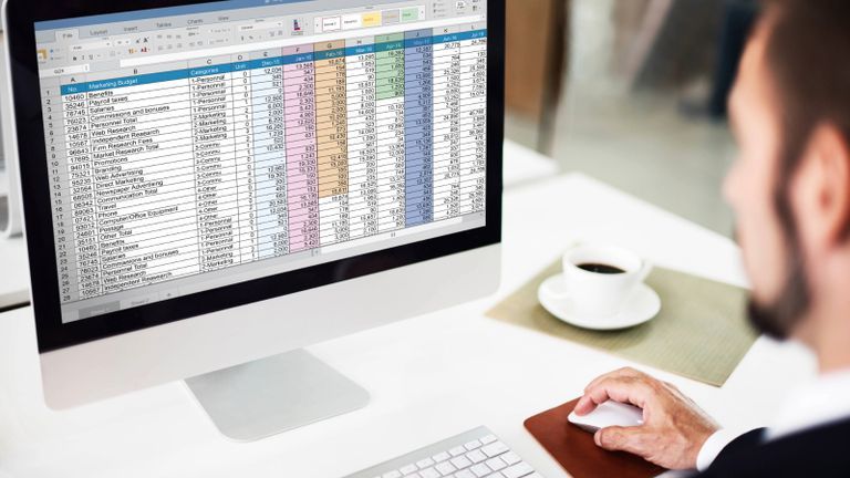 Person working on a spreadsheet.