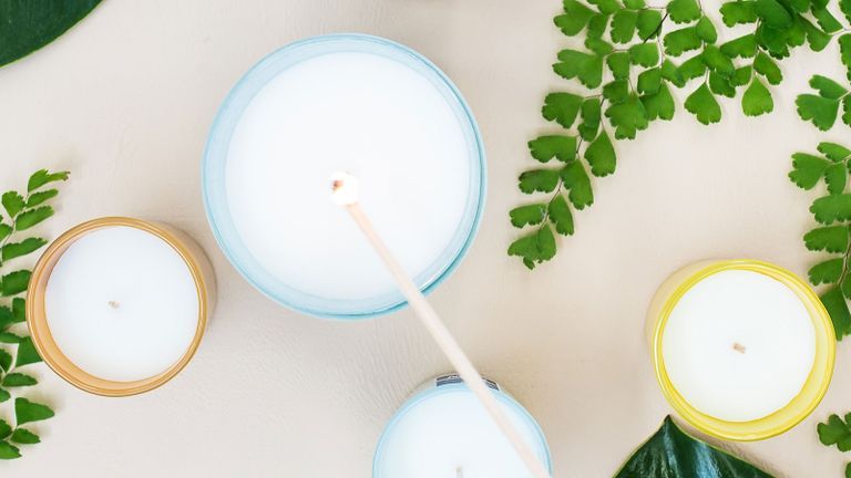 Photo of bright candles and green leaves
