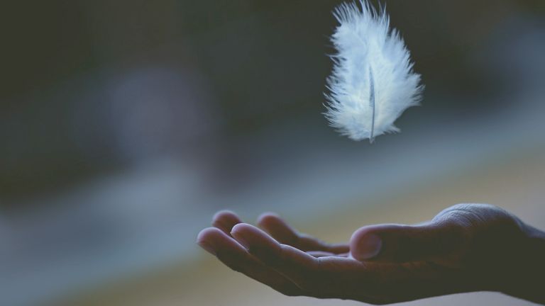 Photo of a feather descending softly to an open palm.