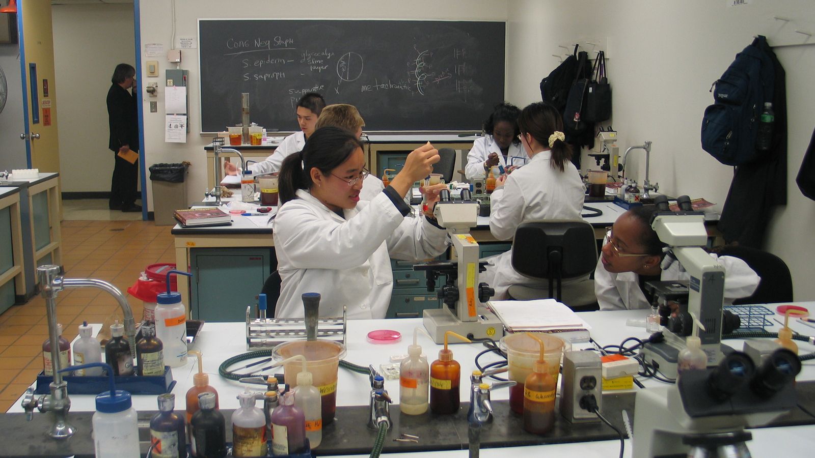 Photo - Hunter students working in a lab