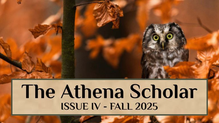 Flying owl on the cover of issue 4 of The Athena Scholar Newsletter