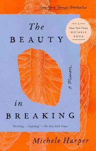 Cover image for The Beauty in Breaking