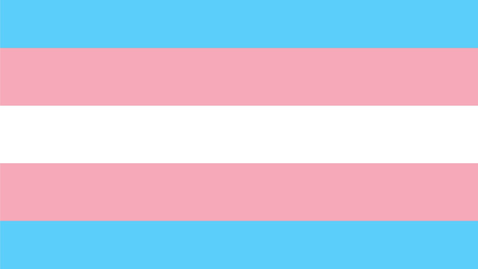 Transgender Flag