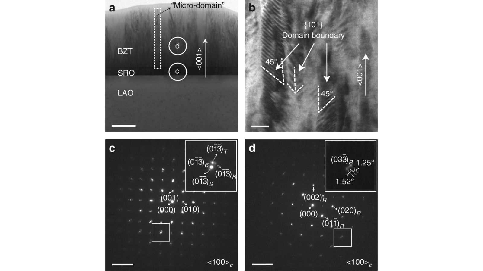 Transmission electron microscopy