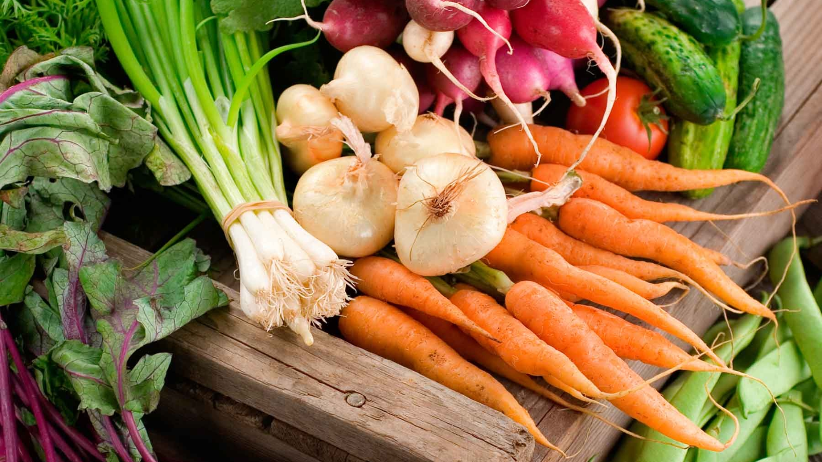 a table full of mixed vegetables.