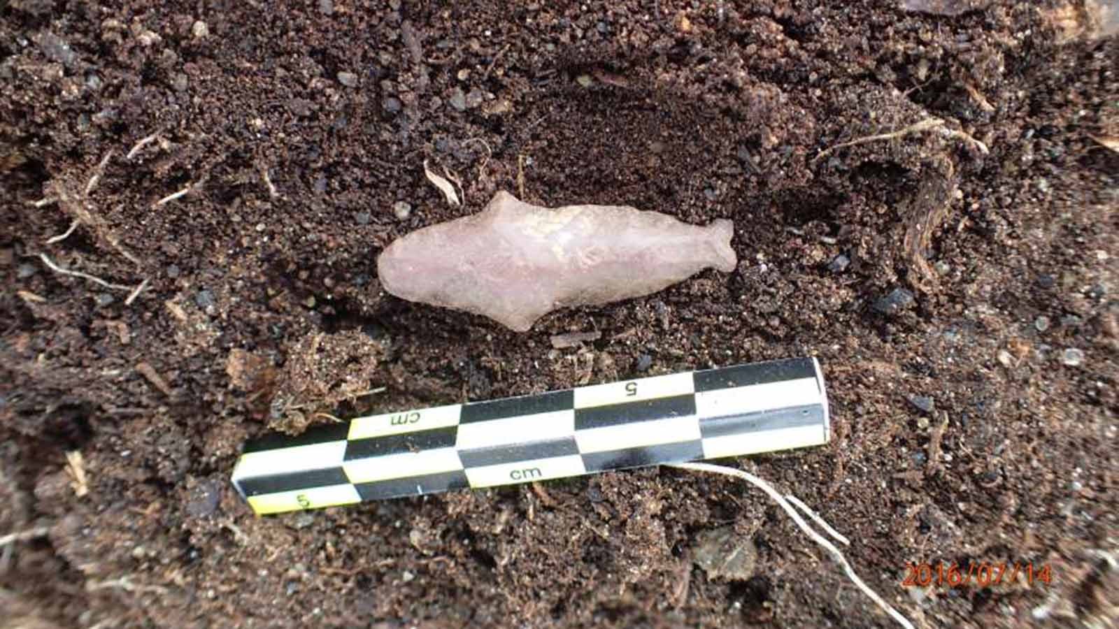 Area C whale effigy made of red chert.
