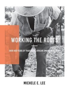 Cover image for Working the Roots: Over 400 Years of Traditional African American Healing